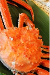 アネックス開業20周年特別プラン　平日限定