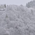 ついに初雪！！