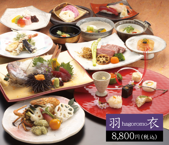 <p>羽衣 8,800円</p>
